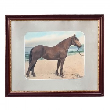 Antikt Bilde Hest (53 x 42 cm)